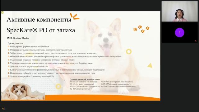 Вебинар: Чисто и пушисто. Ингредиенты косметики для животных