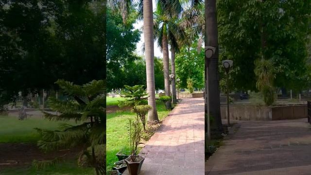 Department of Physics and Electronics, Jammu University смотреть онлайн