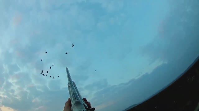 ТОП ЛУЧШИХ ВЫСТРЕЛОВ ПО ГУСЮ!!! ЛУЧШИЕ МОМЕНТЫ ОХОТЫ НА ГУСЯ!!! Охота на гуся 2021. смотреть онлайн