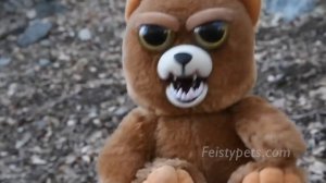 Epic Feisty Fan Film Compilation! Vol. 2