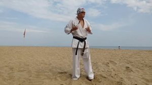 🔥ПОДРОБНЫЙ РАЗБОР УДАРА ВЕРТУШКА👊 Kyokushinkai karate