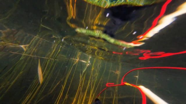 Подводная охота карьер Малукса. Самые прозрачные озера и карьеры в Ленинградской области смотреть онлайн