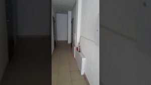 Пионерская 56б