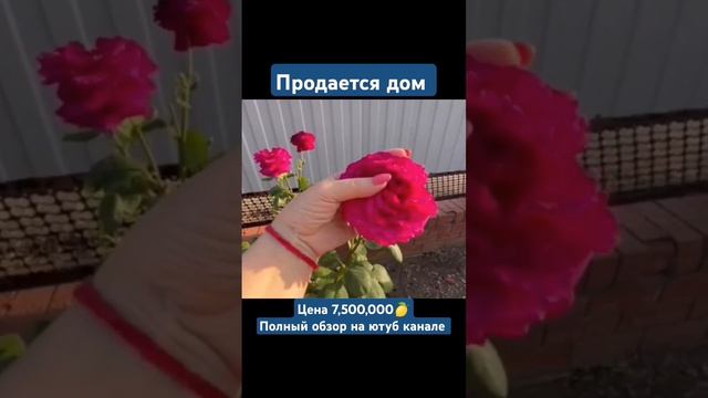 #продаетсядом #купитьдомнаюге #недвижимостьбелореченск #краснодар #квартиранаюге #недвижимостьсочи