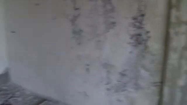 Заброшенный санаторий. Абхазия, Пицунда