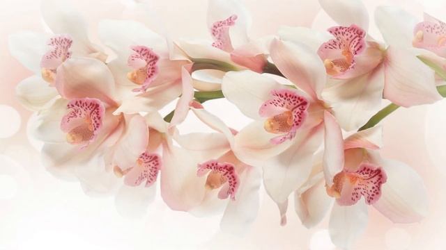 Angelight - Энергия творчества 5