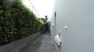 PHUKET THAI HOLIDAYS THE NAP PATONG HOTEL. СТОИТ ЛИ ОН $150 ЗА НОЧЬ? ОТДЫХ В ТАИЛАНДЕ ИЮЛЬ 2024 ГОД