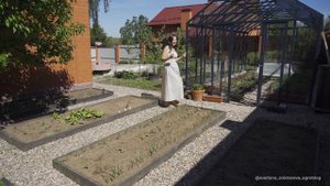 Совместные посадки: как получить 20 кг овощей и зелени с 1 кв.м!