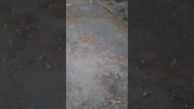 Экскурсия по Гринченко 34 смотреть онлайн