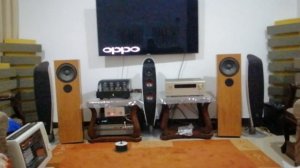 audio note speakers with audio note m zero control and prima luna power amp