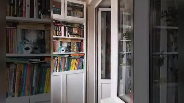 VID 20210304 WA0028 смотреть онлайн