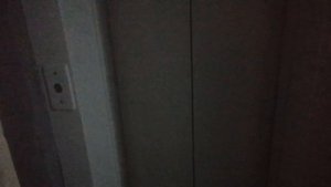 Лифты МЛМ 2020 г.в по адресу Ул. Чкалова 1/17