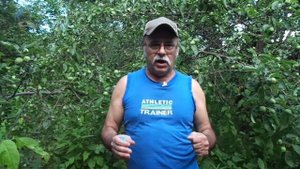 Отзыв о Школе YouTube Дениса Коновалова Konoden