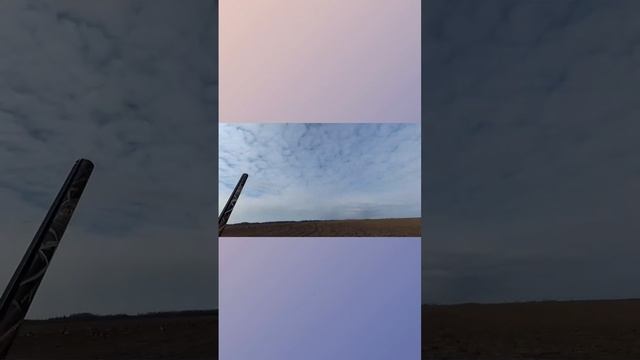 Дуплет по гусям #охота #охотанагуся #hunting #hunter #hunt #рыбалка #fishing #nature #hunterxhunter смотреть онлайн