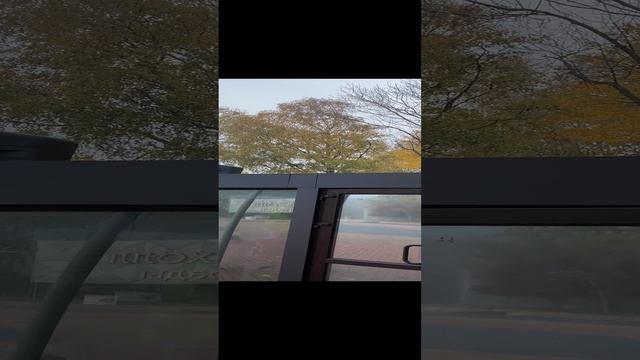 Утренний Светлогорск. смотреть онлайн