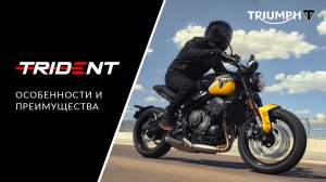 Triumph Trident 660 2025: подробный обзор обновленного мотоцикла