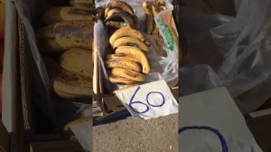 Сегодня каланчак