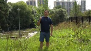 ТРАКТОР ПОДОБРАН ! Что ДАЛЬШЕ? Т-40ам по цене РЫНКА / ОБЗОР