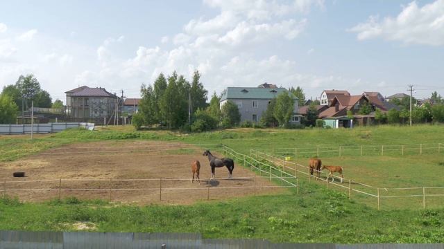 Почему стоит присмотреться к Колтушам