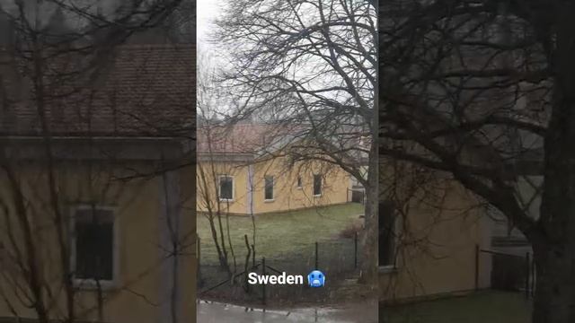 Amazing weather just in Sweden смотреть онлайн