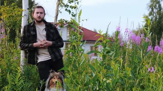 «Прибрежный» — коттеджный посёлок рядом с Шлиссельбургом