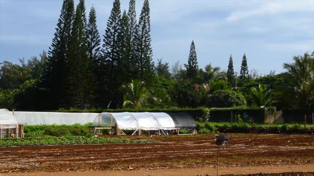 Own it 2 Start_it_5_1 смотреть онлайн