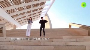 Моргана ле Фей "What is love" Клип 2024 SHUFFLE DANCE
Танцевальная музыка