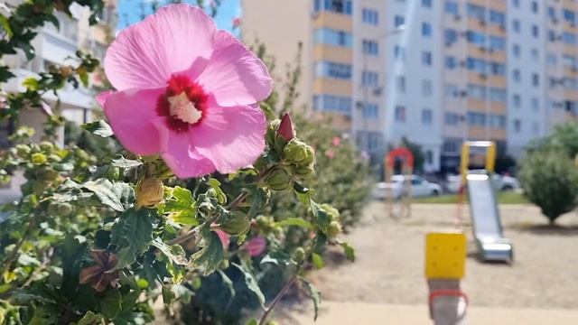 ОБЗОР КВАРТИРЫ ЖК ГОРГИППИЯ #анапа #горгиппия #высокийберег #обзорквартиры