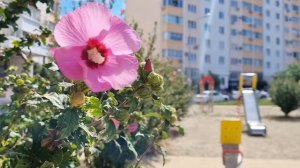 ОБЗОР КВАРТИРЫ ЖК ГОРГИППИЯ #анапа #горгиппия #высокийберег #обзорквартиры