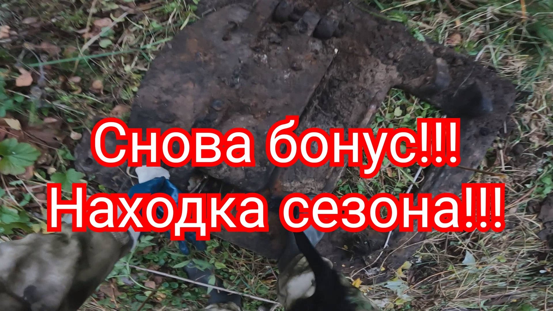 Металлокоп. Снова бонус!!! Находка сезона!!! смотреть онлайн