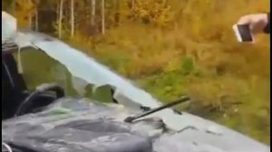 Медведь разорвал автомобиль охотника в Ханты Мансийске