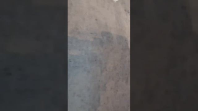 долбит пол 3d #декоративнаяштукатурка #квартира #дом #котедж #микроцемент #ремонтквартир #казань смотреть онлайн