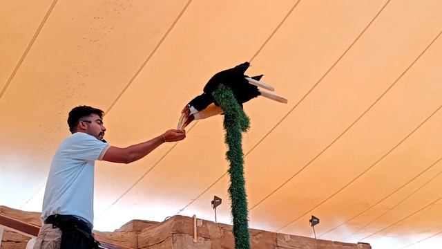 Dubai Safari Park Tour 2023|Dubai Safari Park Full Trip with Adventures
