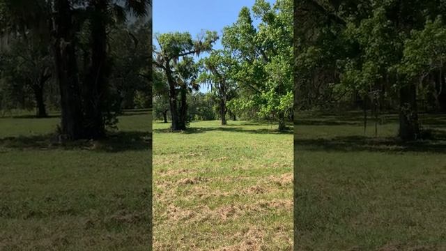 Higgenbotham Auctioneers, Commercial Building Brooksville, FL смотреть онлайн