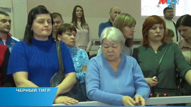 Репортаж телеканала МТФ об Открытом Первенстве Волгограда по тхэквондо (МФТ) "Черный Тигр" смотреть онлайн