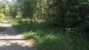 Миллиардер позвал уборщицу на переговоры. Шутка обернулась для всех удивлением