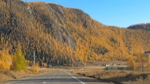 Чуйский и Чемальский тракт