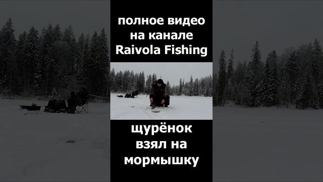 ЩУКА ВЗЯЛА НА МОРМЫШКУ