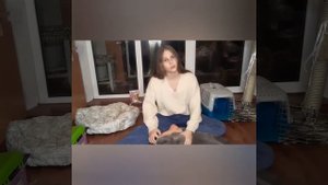 Как ухаживать за котом, и что ему нужно