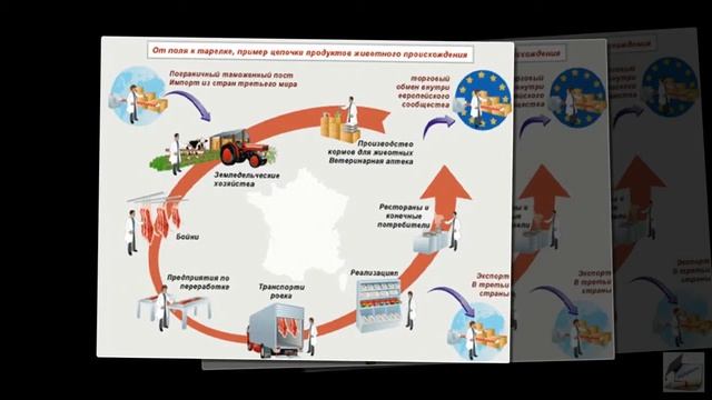 Клип: Обзор системы FSSC 22000