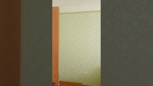 Съёмка квартиры для Авито