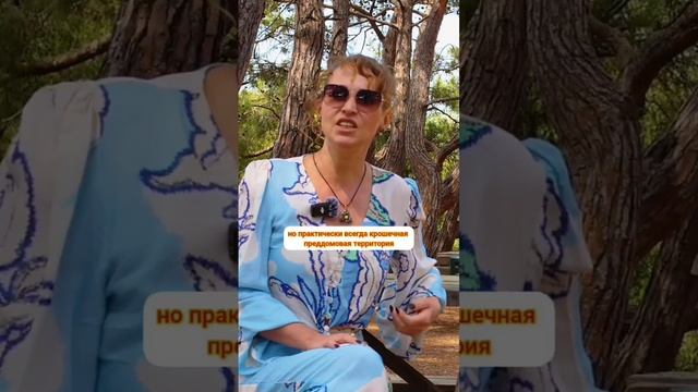 Как выбрать квартиру?