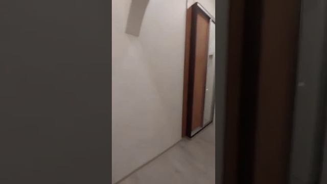 Аренда 1к квартиры в районе метро Олимпийская смотреть онлайн