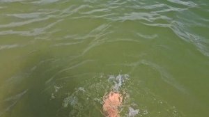 SALT LAKE ПЛЯЖ/ РОСТОВСКИЕ СОЛЁНОЕ ОЗЕРО/ ЧИСТАЯ ВОДА