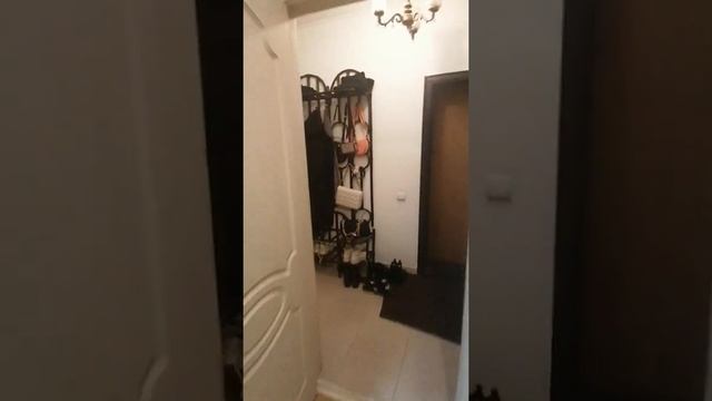 Купить однокомнатную квартиру Калининград Новикова (ипотека, наличка) смотреть онлайн