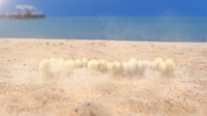 Белек 15.08.14 KG short