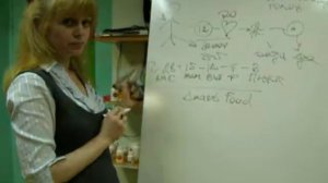 Концепция Здоровья за 5 минут