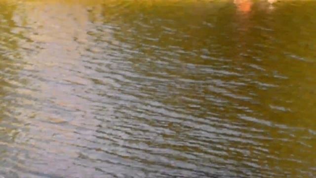 Москва набережная Шитова смотреть онлайн