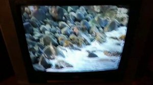 интернет стекловолокно Ростелеком///ура очень быстрый интернет 300мигабит в секунду //на днях ролик