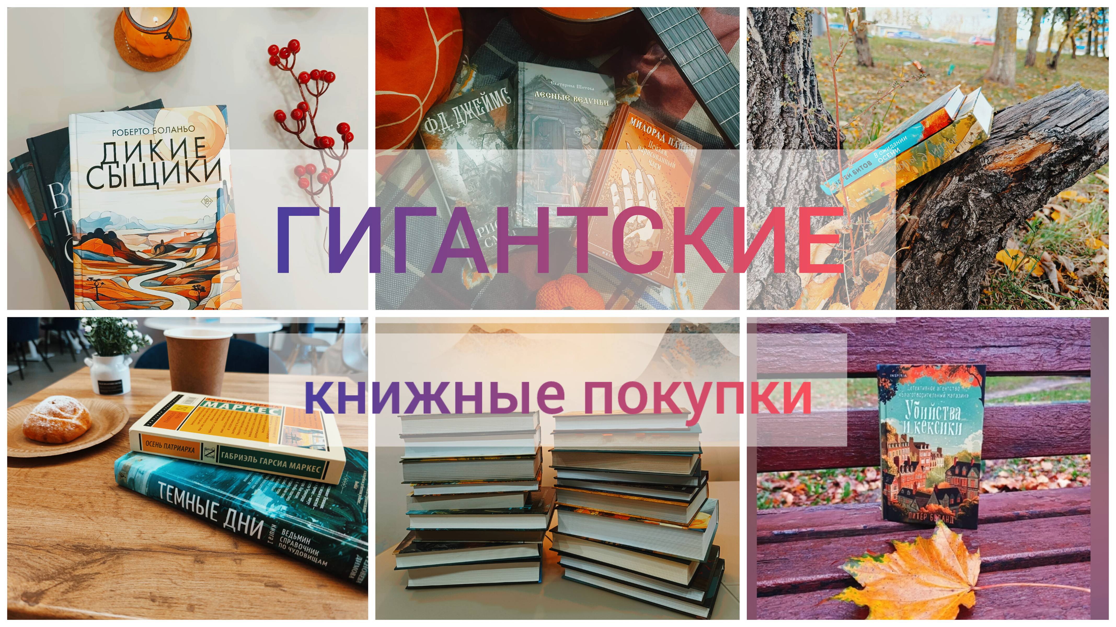 НАКУПИЛА КНИГ ДЛЯ ОСЕННЕГО НАСТРОЕНИЯ!